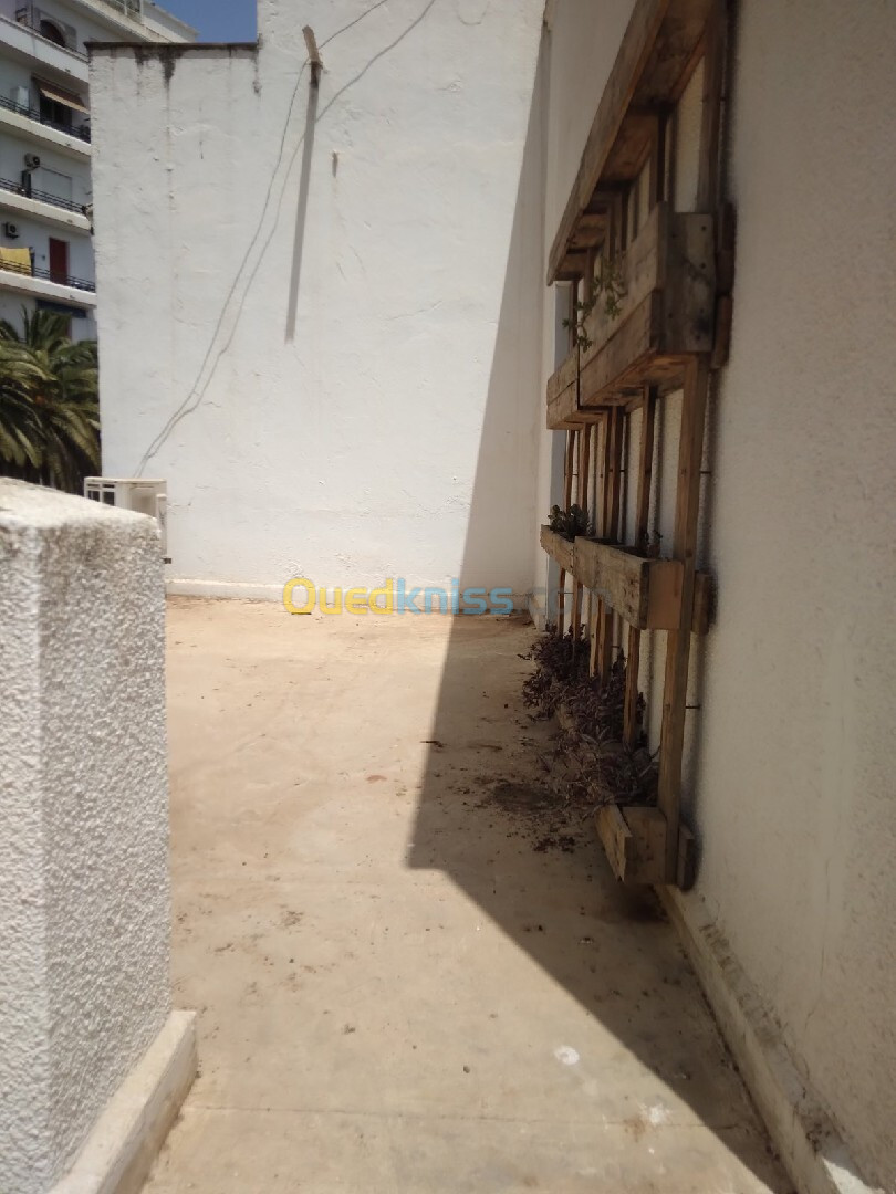 Location bien immobilier Alger Alger centre