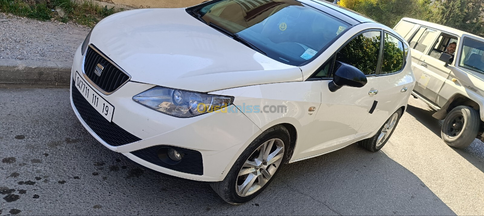 Seat Ibiza 2011 Loca