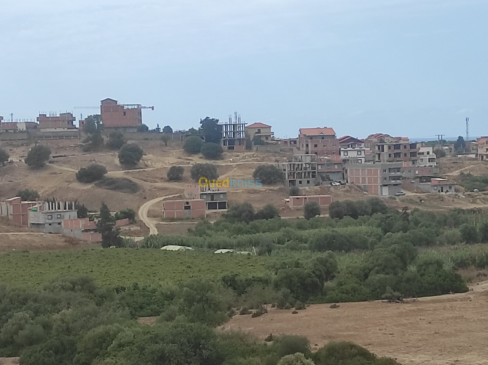 Vente Terrain Boumerdès Zemmouri