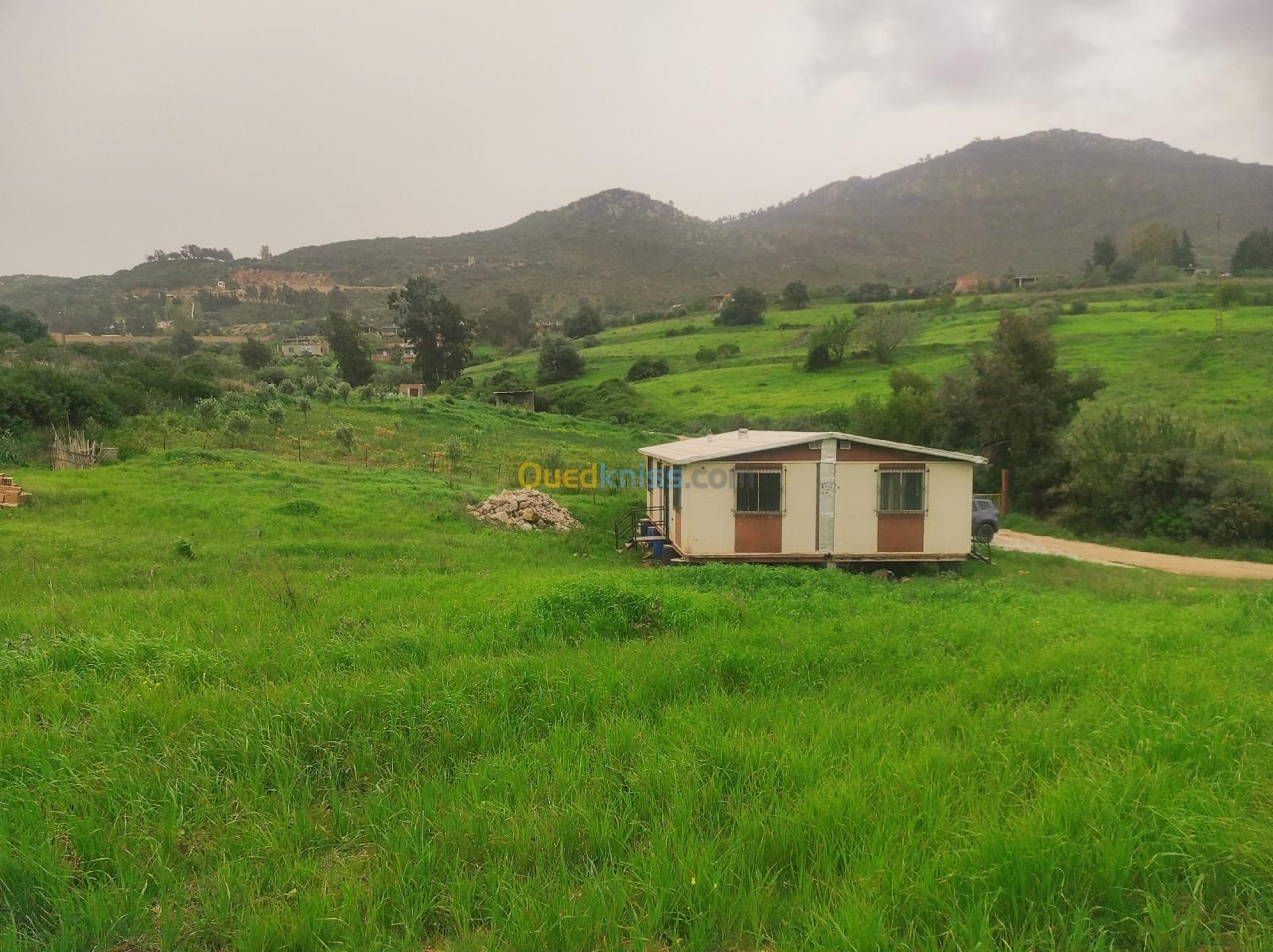 Vente Terrain Boumerdès Keddara