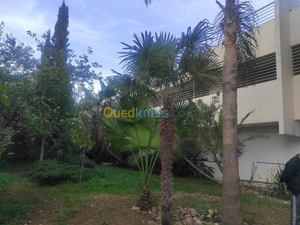 Vente Villa Alger Cheraga