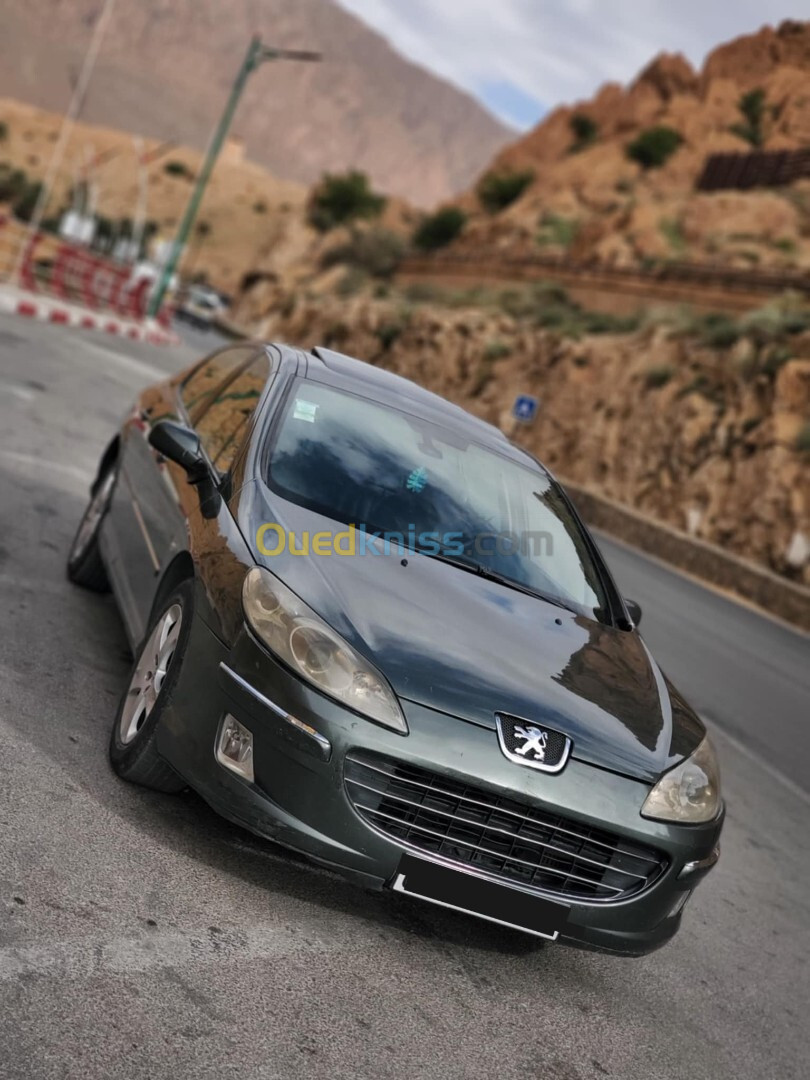 Peugeot 407 2008 407