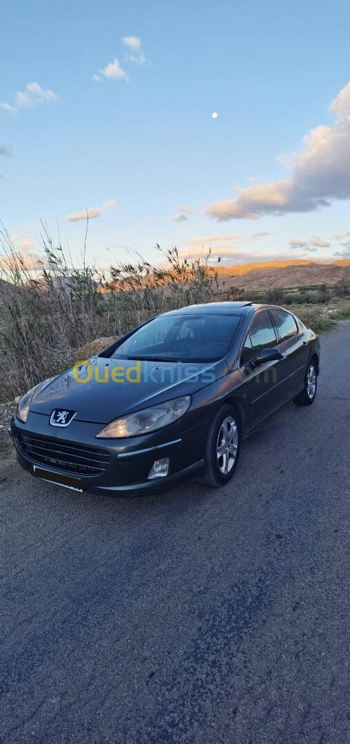 Peugeot 407 2008 407