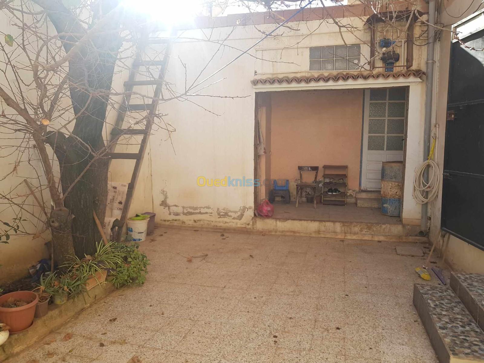 Vente Appartement F4 Tiaret Tiaret