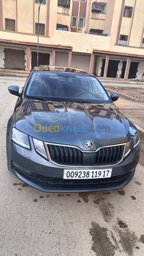 Skoda Octavia 2019 Clever