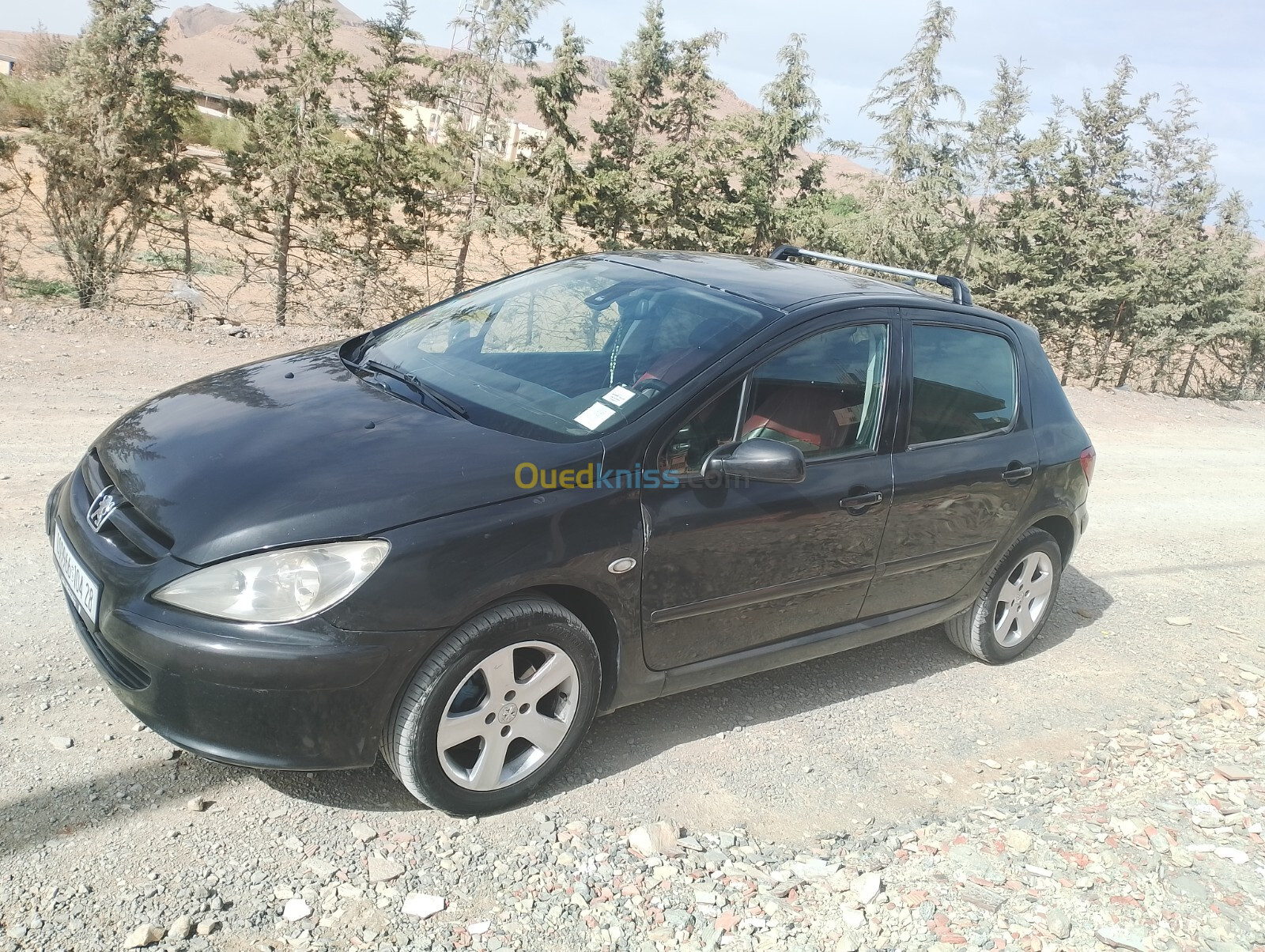 Peugeot 307 2004 XT