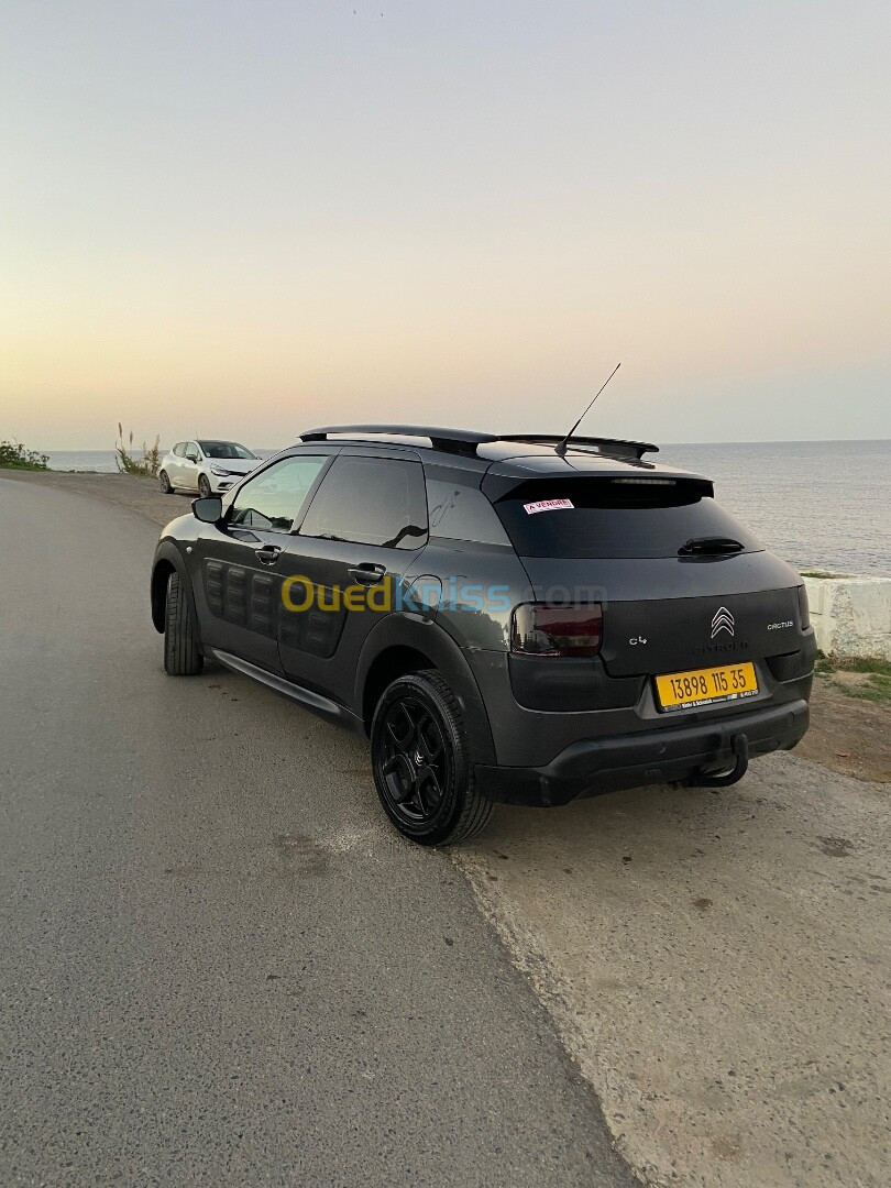 Citroen C4 Cactus 2015 C4 Cactus