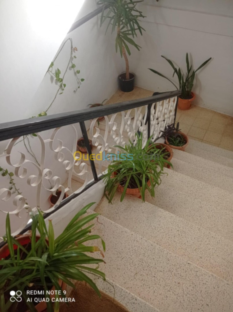 Vente Niveau De Villa F5 Tlemcen Chetouane