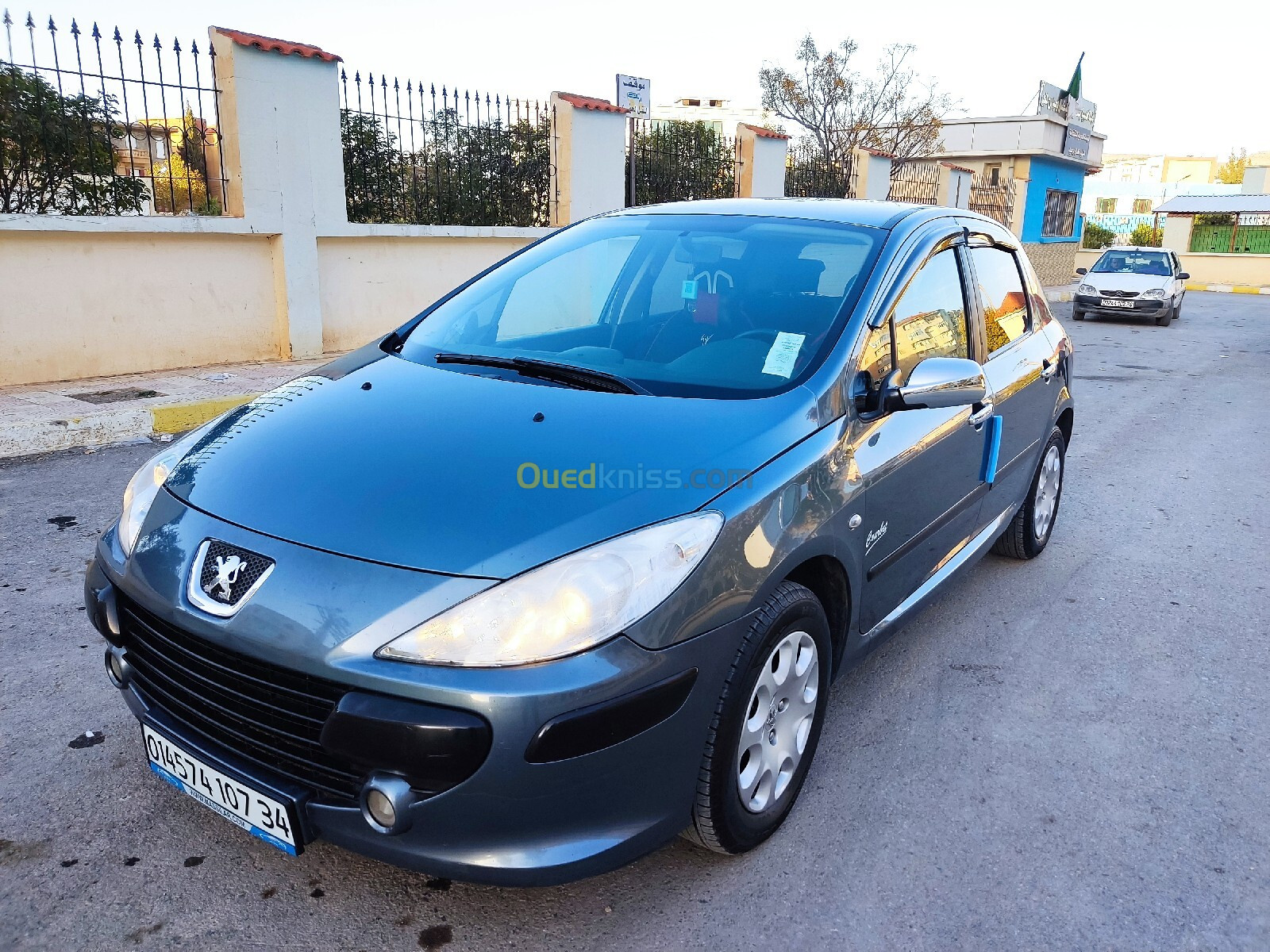 Peugeot 307 2007 307