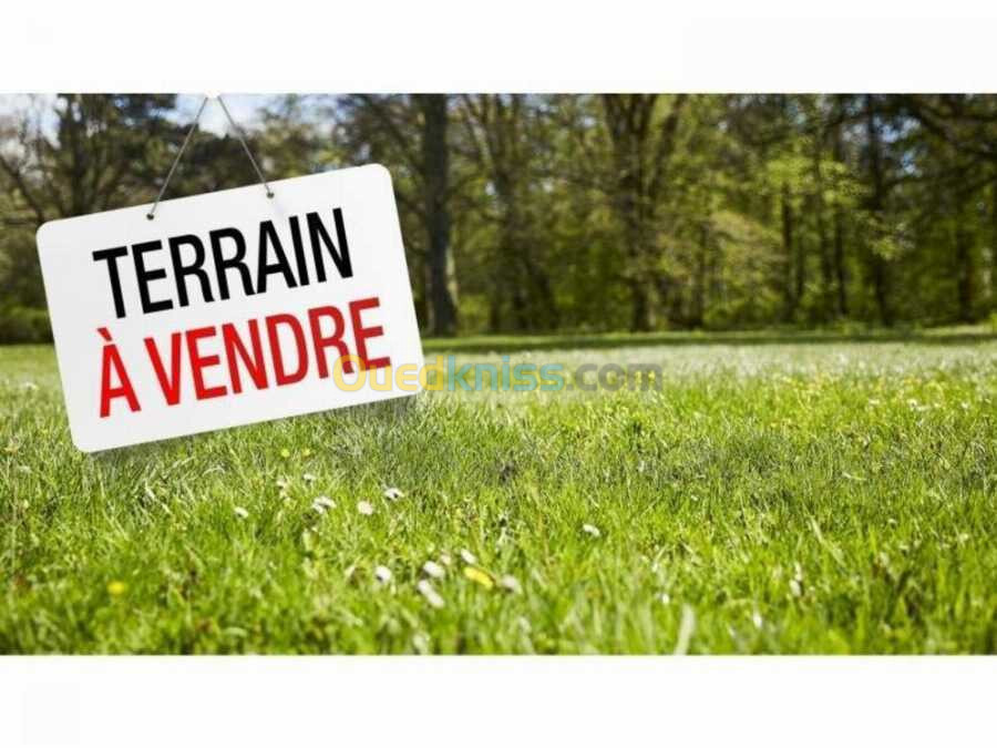 Vente Terrain Alger Cheraga