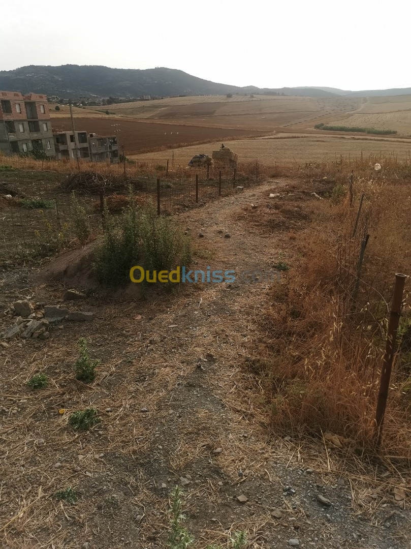 Vente Terrain Tizi Ouzou Draa el mizan