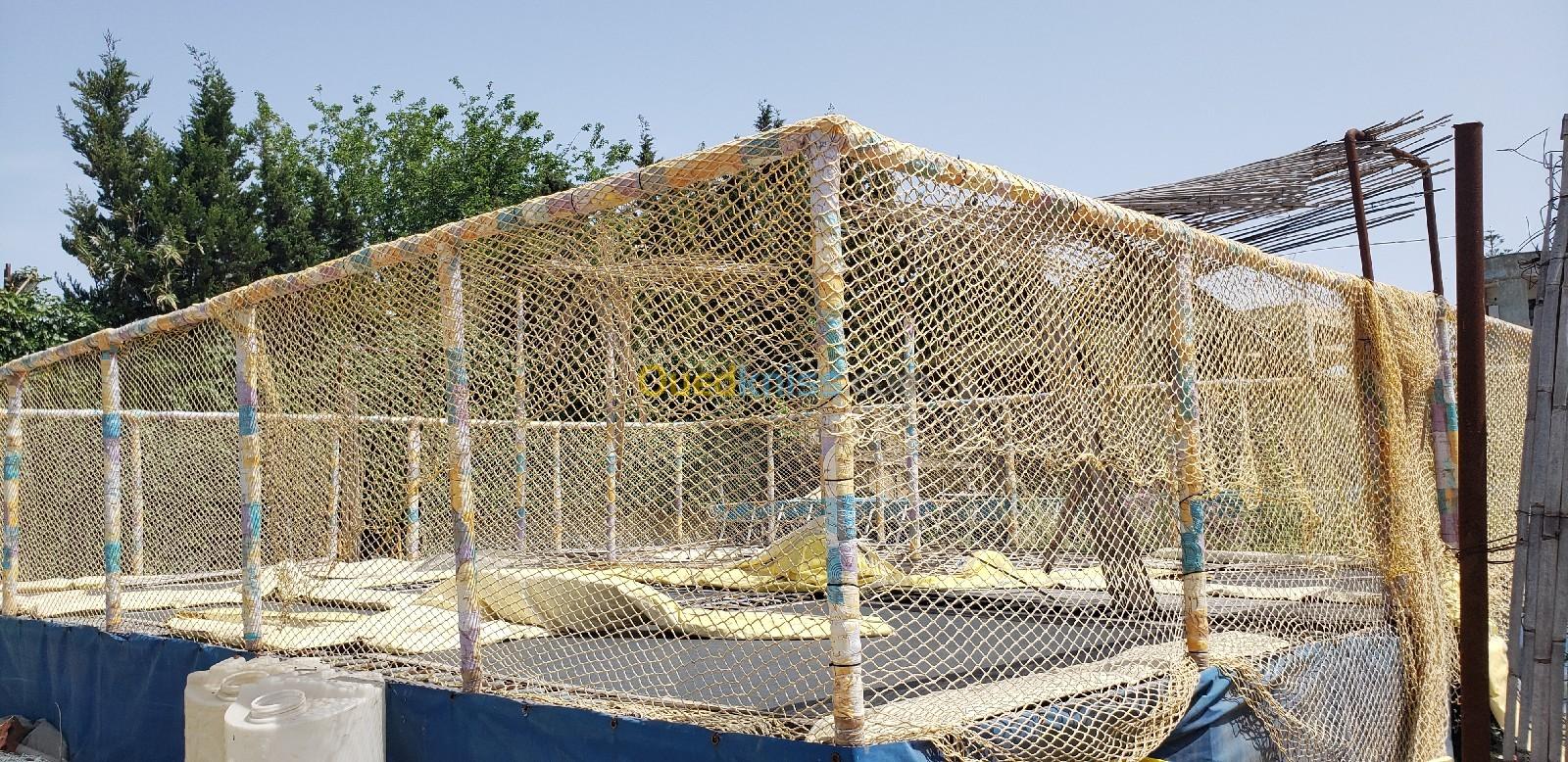 TRAMPOLINE 