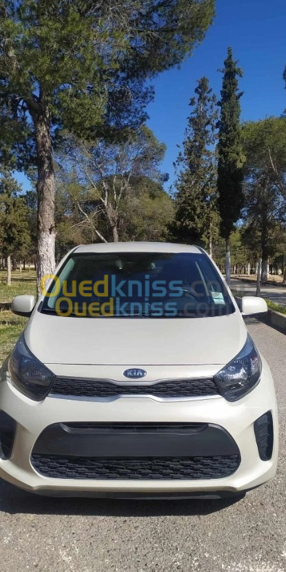 Kia Picanto 2019 LX Start