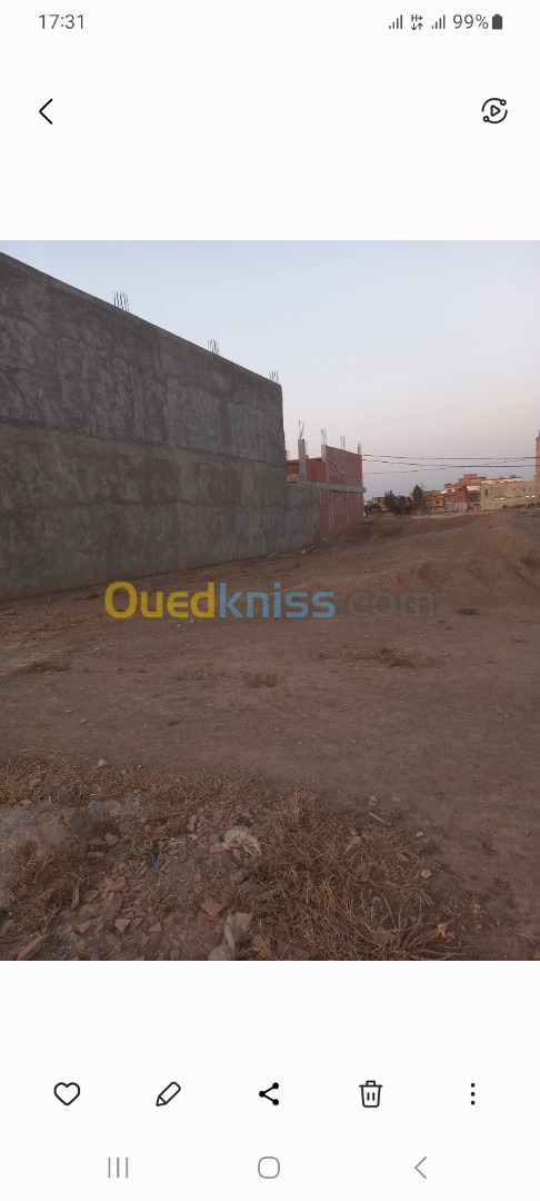 Vente Terrain Blida Sidi moussa