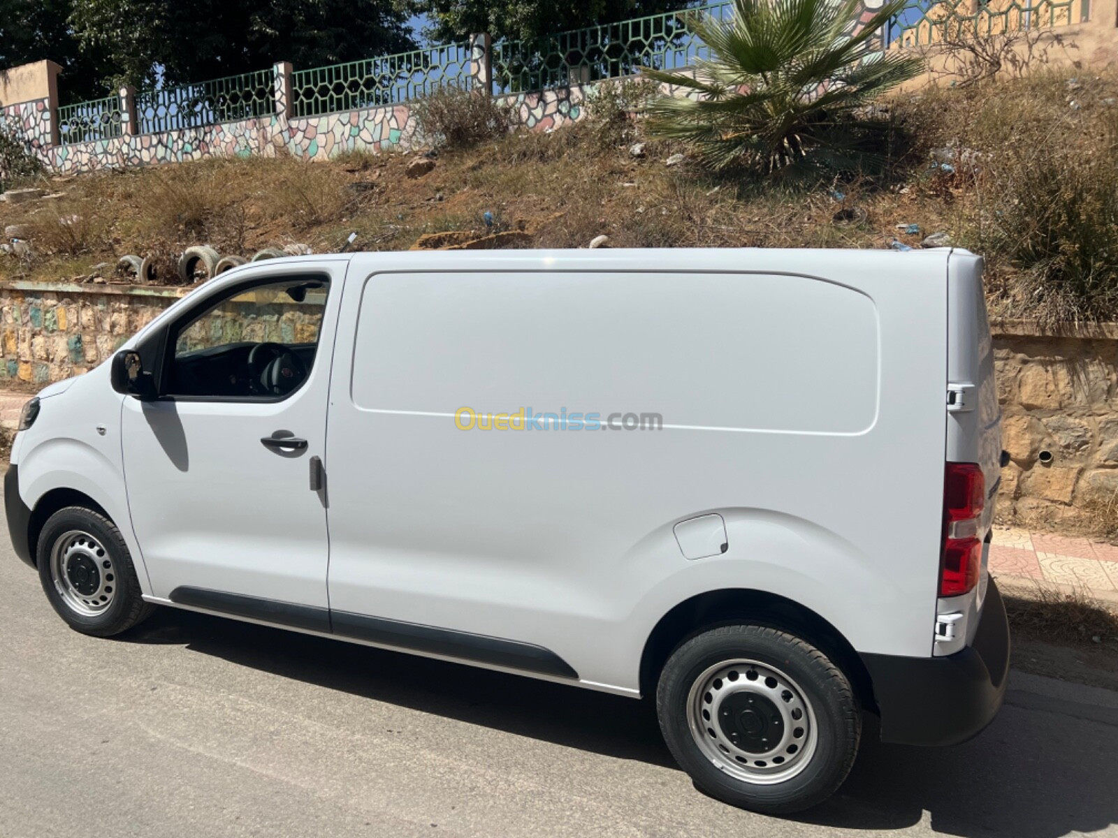 Scudo Fiat 2024