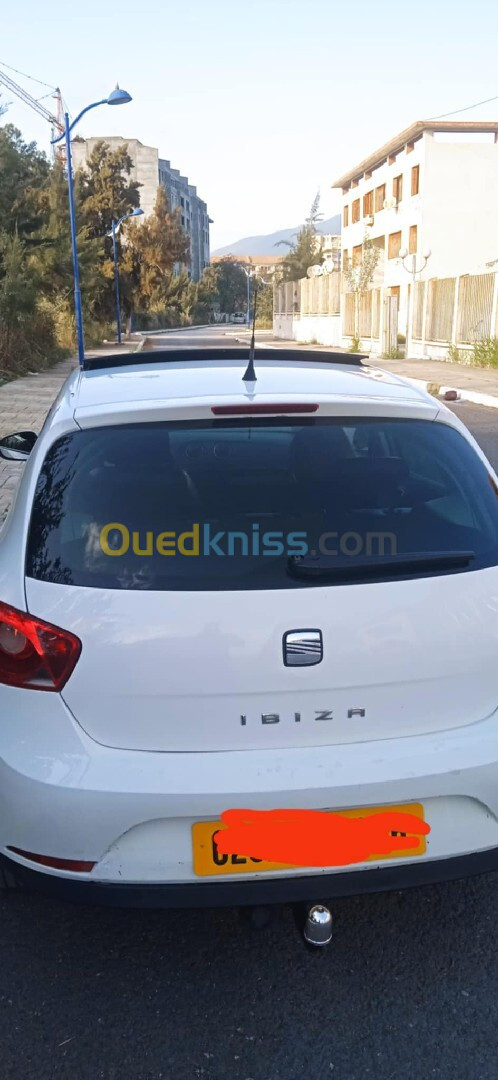 Seat Ibiza 2011 Loca