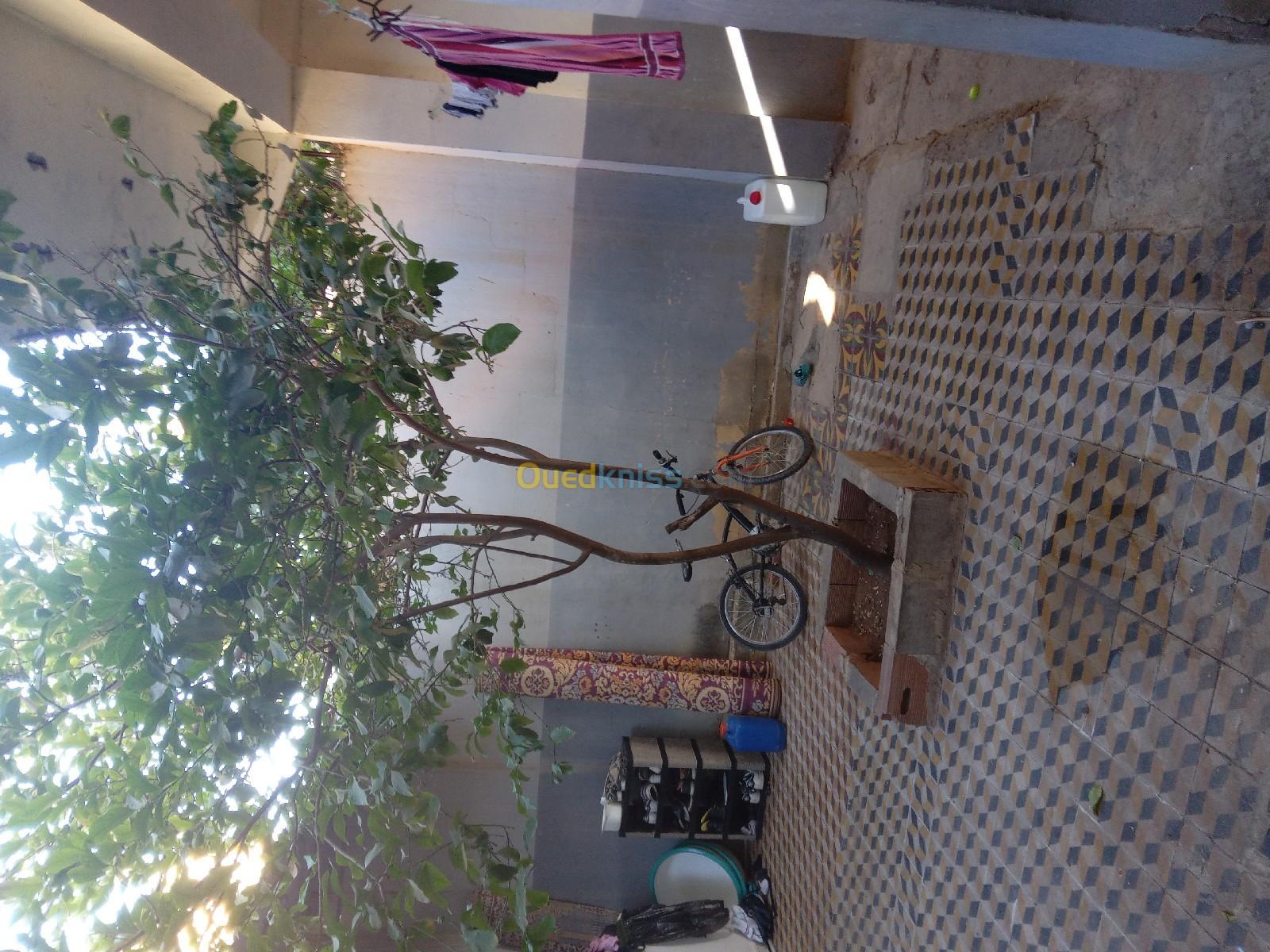 Vente Appartement F4 Chlef Sendjas