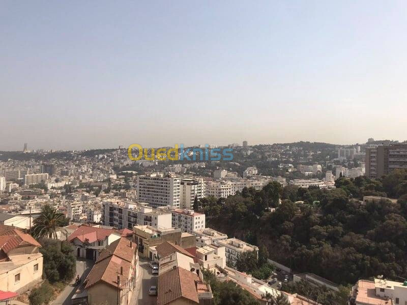 Vente Appartement F3 Alger Alger centre