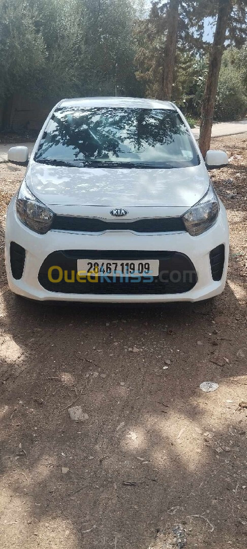 Kia Picanto 2019 LX