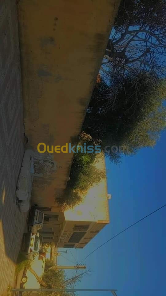 Vente Villa Ain temouchent Sidi ben adda