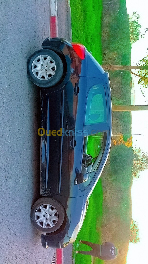 Peugeot 207 2007 207