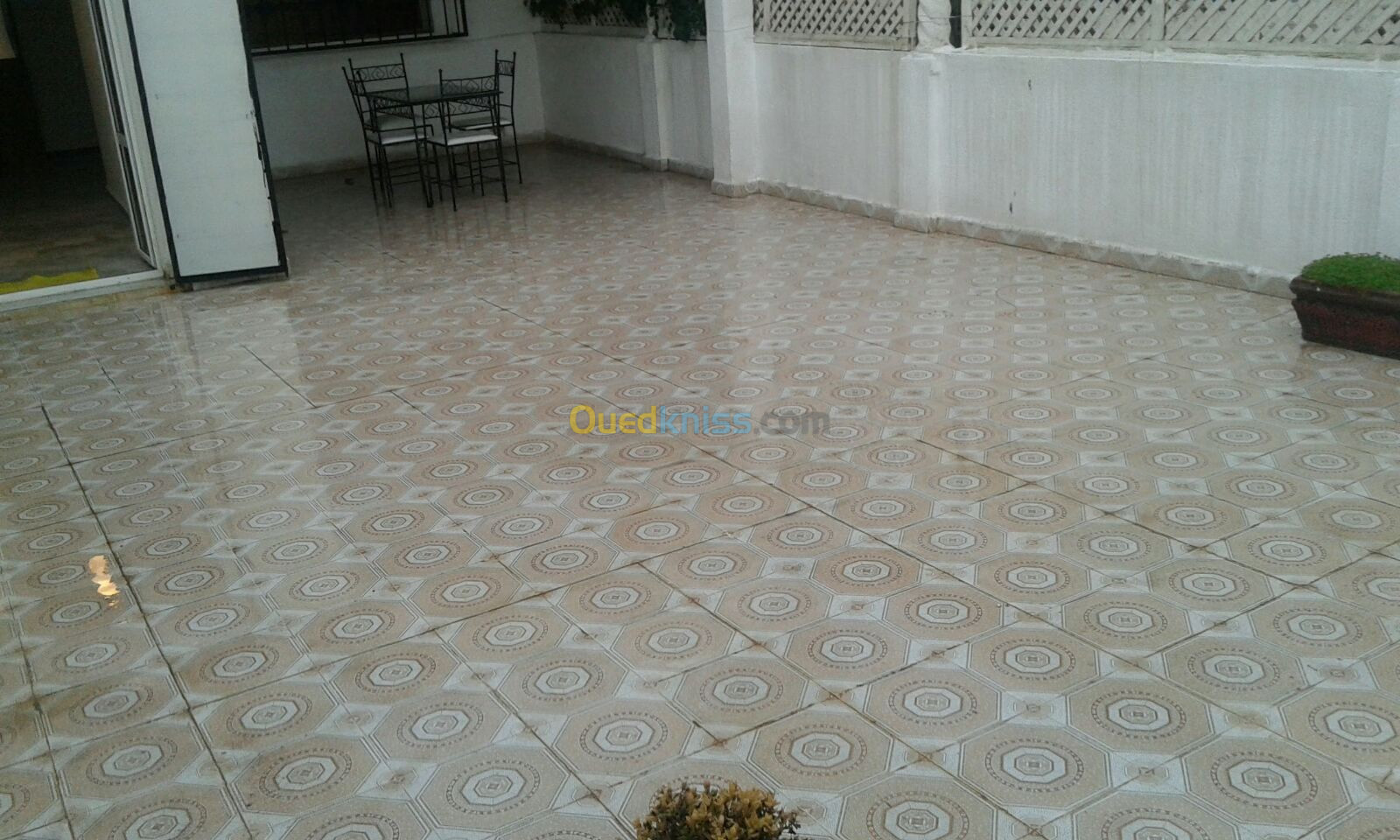 Location Duplex F4 Alger Hydra