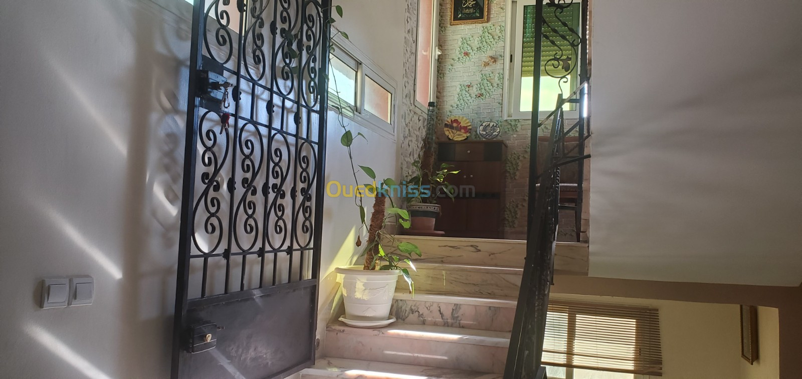 Vente Villa Tipaza Douaouda