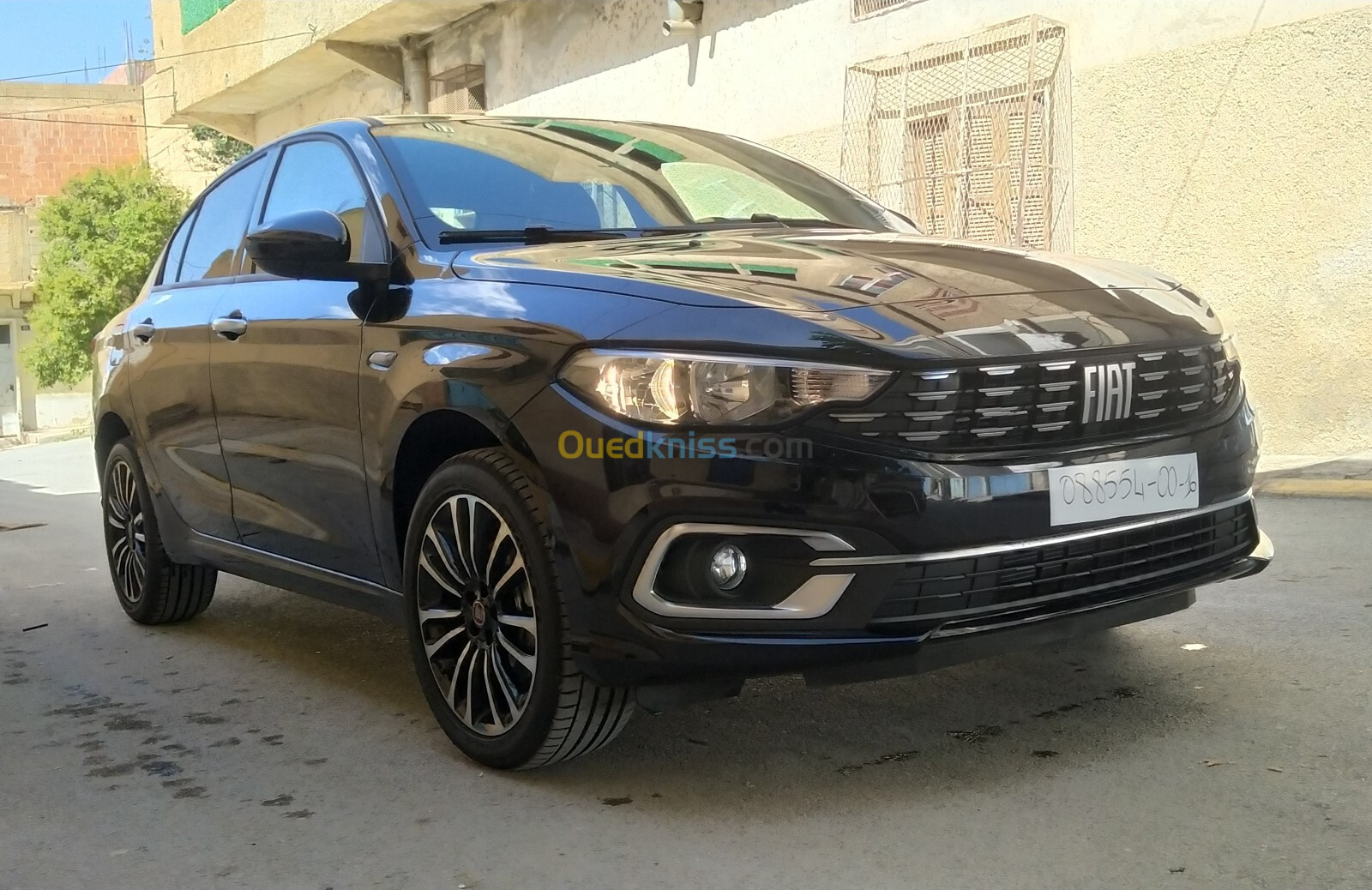 Fiat Tipo 2024 Laif