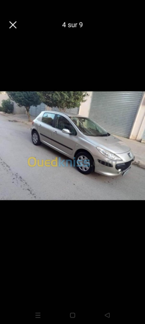 Peugeot 307 2006 307