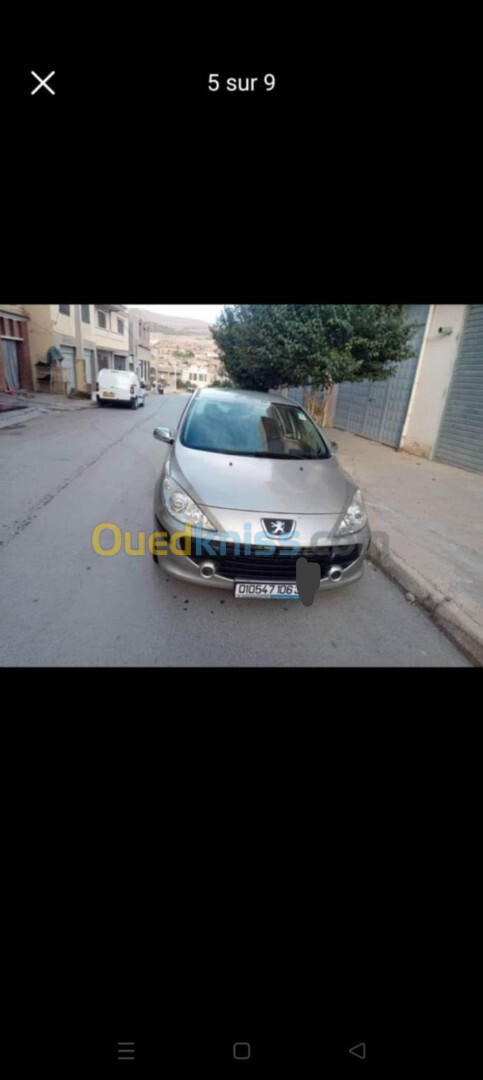 Peugeot 307 2006 307