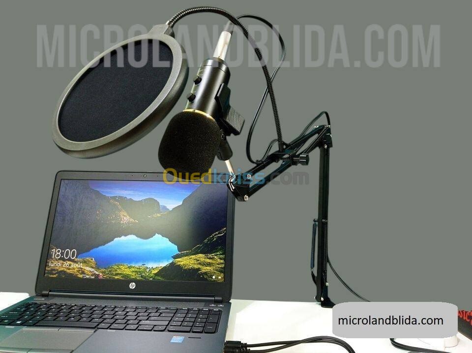 microphone professionnelle m800u avec carte son v8