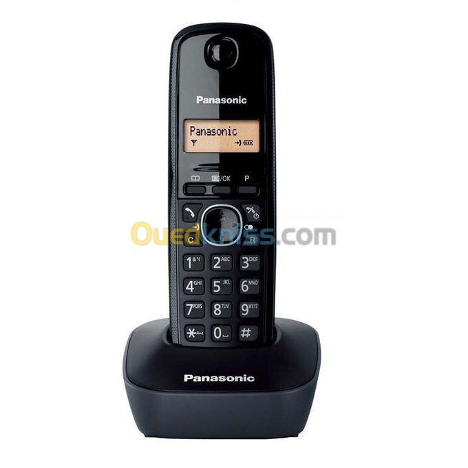 Téléphones sans fil Panasonic kx-tg1611 à domicile