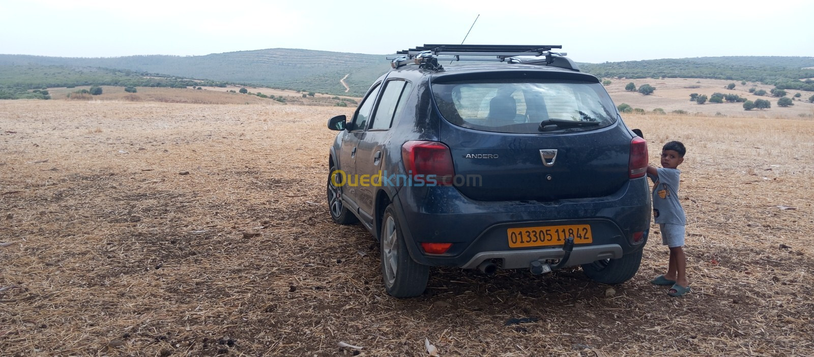 Dacia Sandero 2018 Stepway