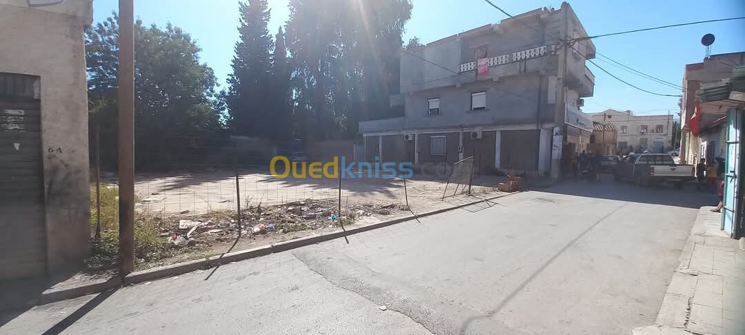 Vente Terrain Guelma Guelma