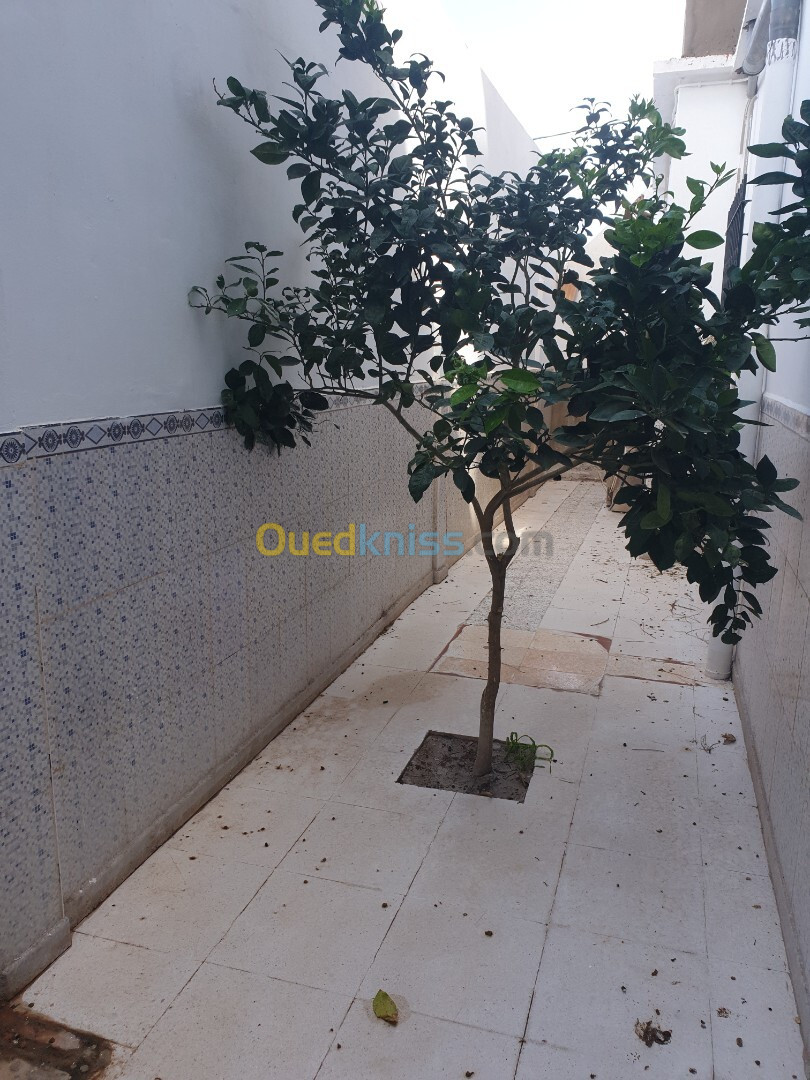 Location Niveau De Villa F3 Mostaganem Abdelmalek ramdane