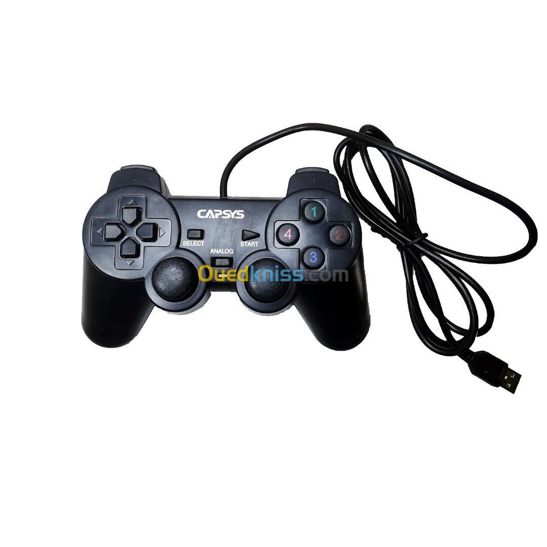 MANETTE CAPSYS GS306 FOR PC