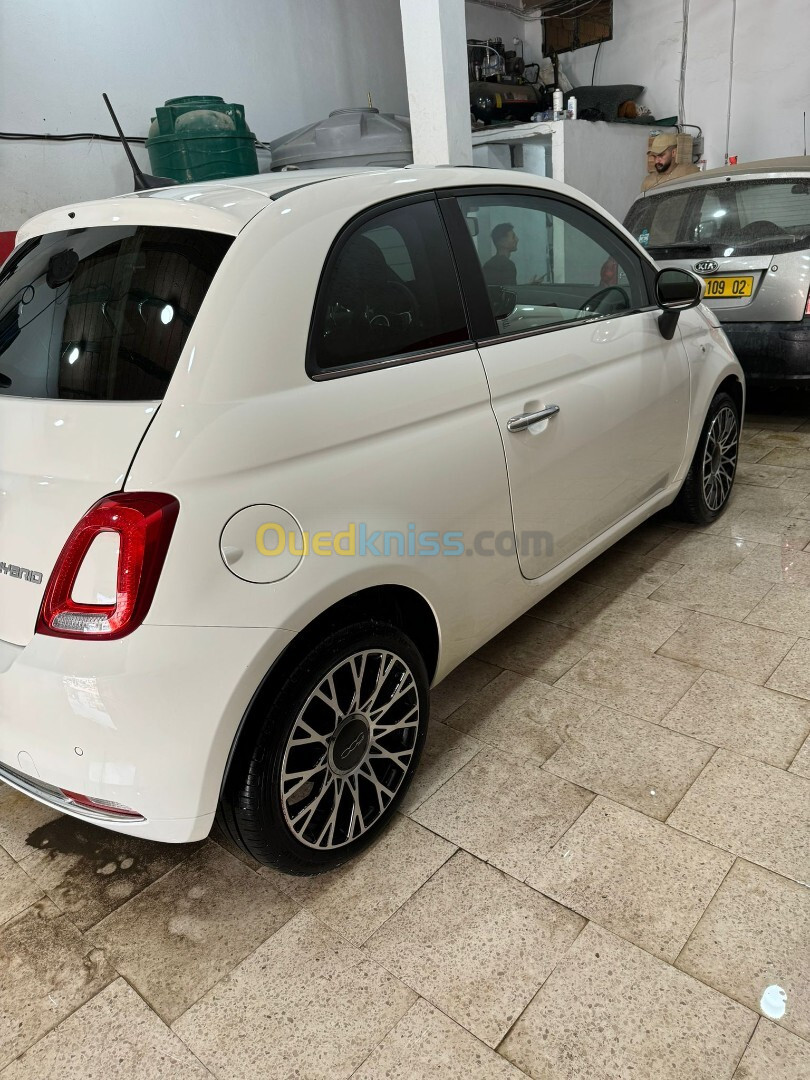 Fiat 500 2024 Dolcevita