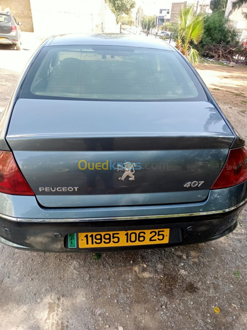 Peugeot 407 2006 407