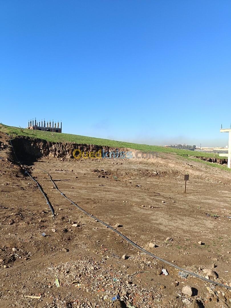 Vente Terrain Boumerdès Ouled moussa