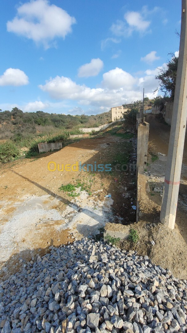 Vente Terrain Alger Cheraga