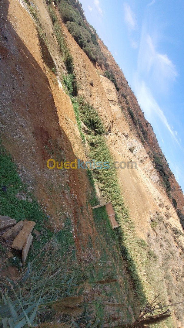 Vente Terrain Alger Cheraga