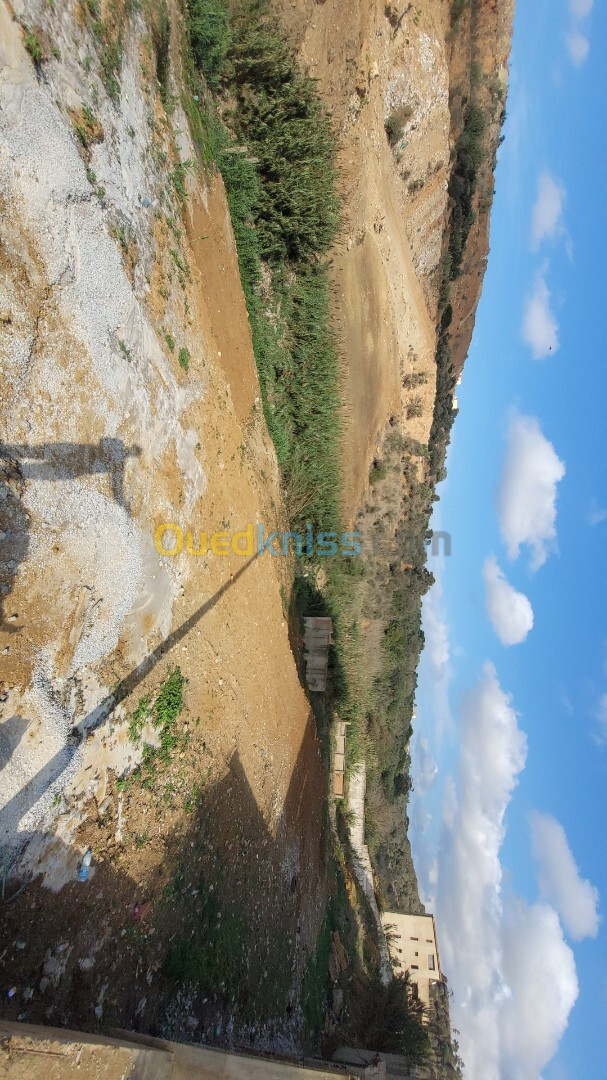 Vente Terrain Alger Cheraga