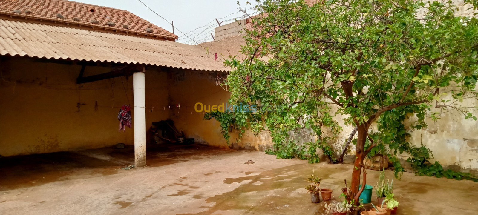 Vente Villa Aïn Témouchent Chaabet el ham