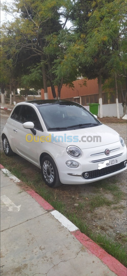 Fiat 500 2023 CLub itali