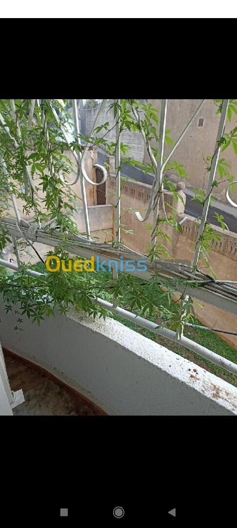 Location Appartement F5 Alger Birkhadem