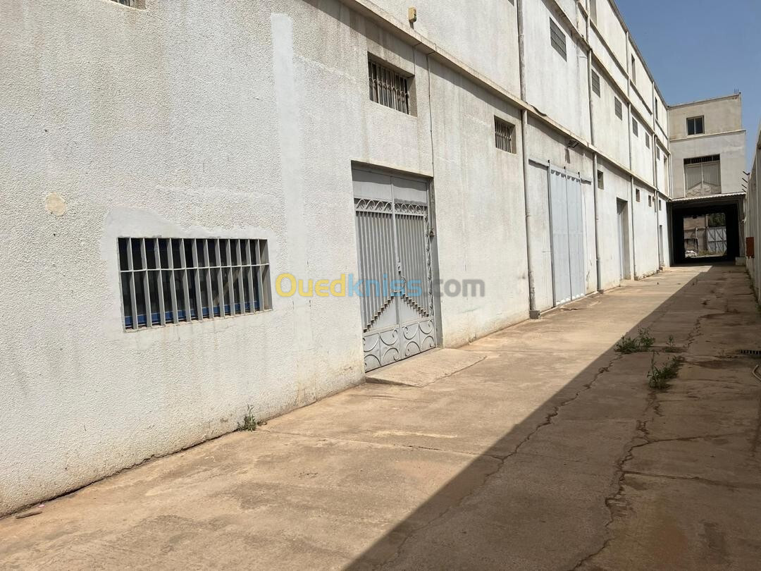 Location Usine Alger Dar el beida