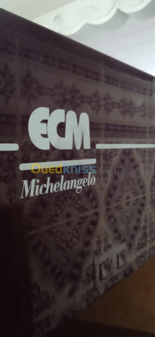 Machine a cafè 02 groupes ECM Michelangelo