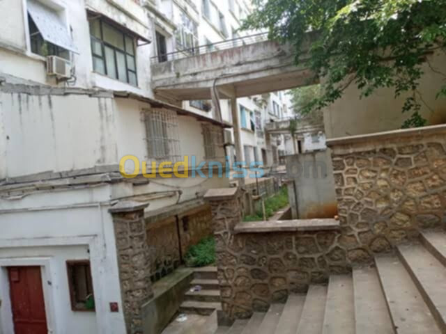 Location Appartement F3 Alger El biar