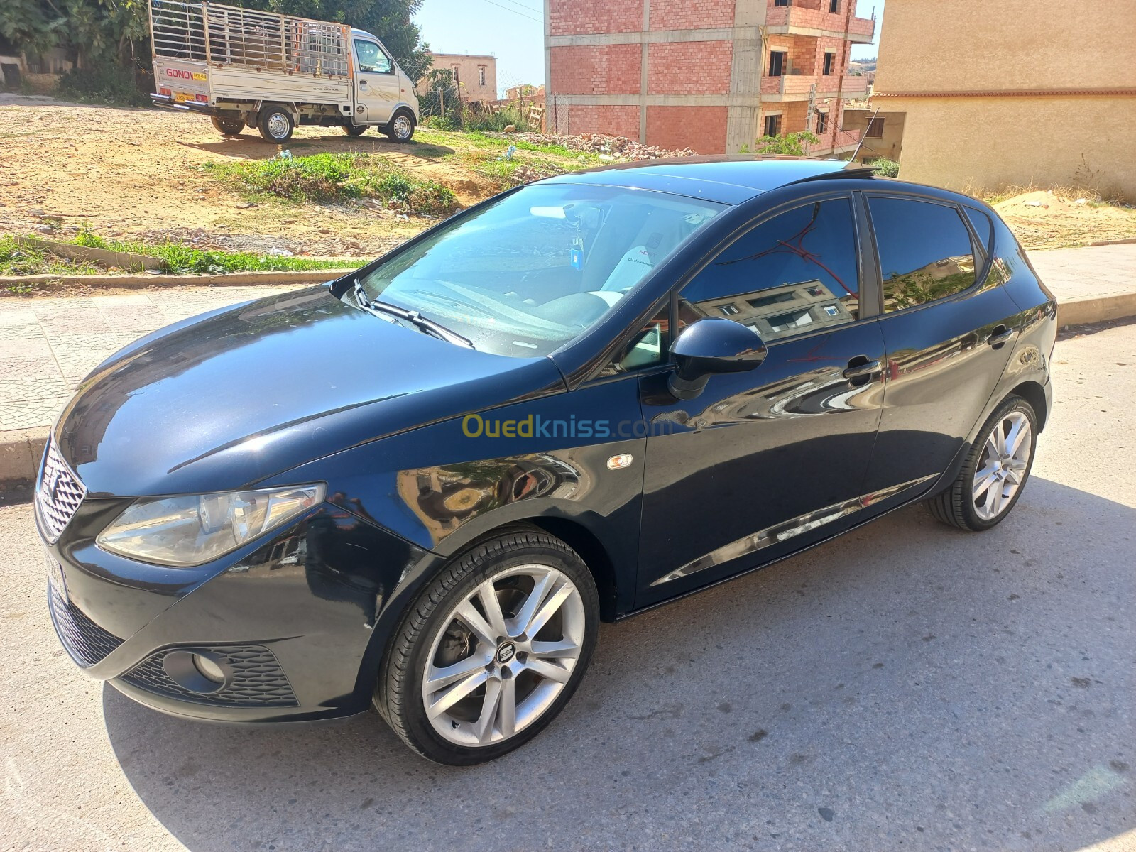 Seat Ibiza 2010 