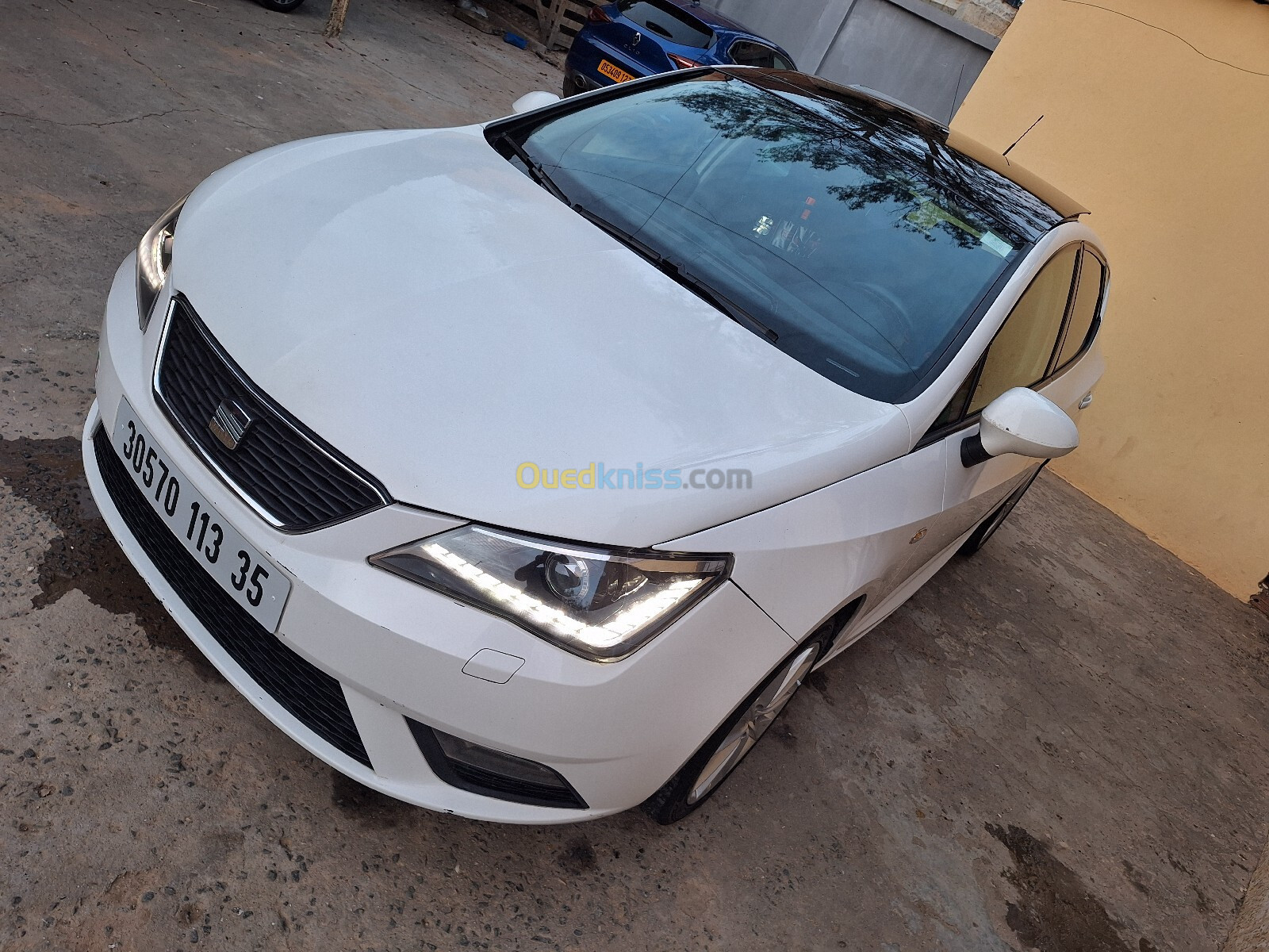 Seat Ibiza 2013 Sport Edition